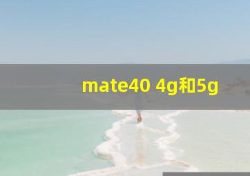 mate40 4g和5g